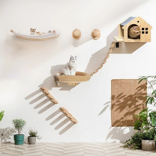 Cat wall climbing - wall, shelves
