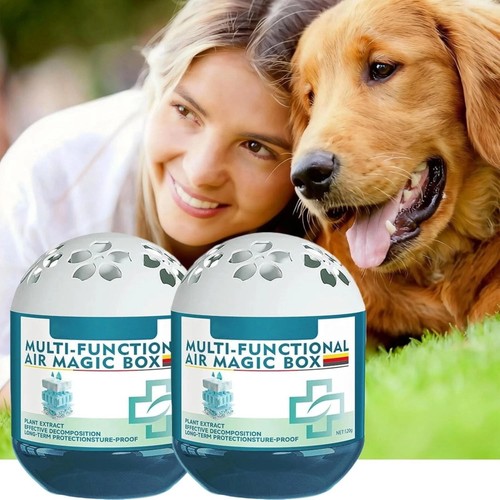 Indoor air purification - indoor, dust