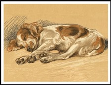 WELSH SPRINGER SPANIEL VINTAGE