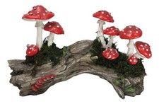 Enchanted Fairy Garden