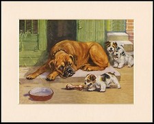 AS BOXER DOG SLEEPS SEALYHAM