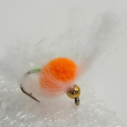 New orange gold - gold, fly