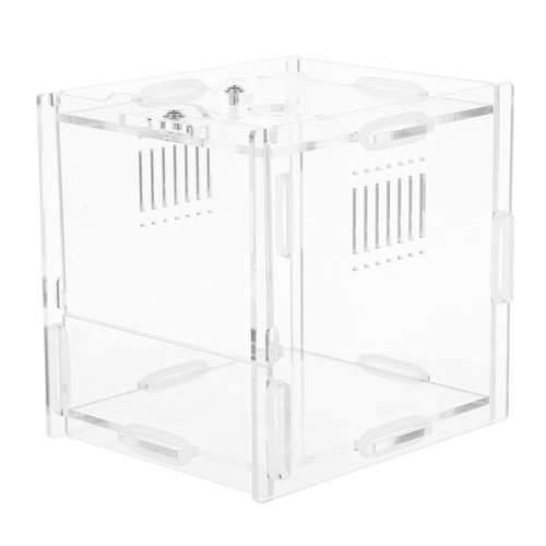 Reptile feeding box snake - reptile,