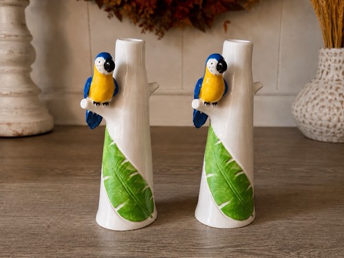 Pair tropical parrot - of,