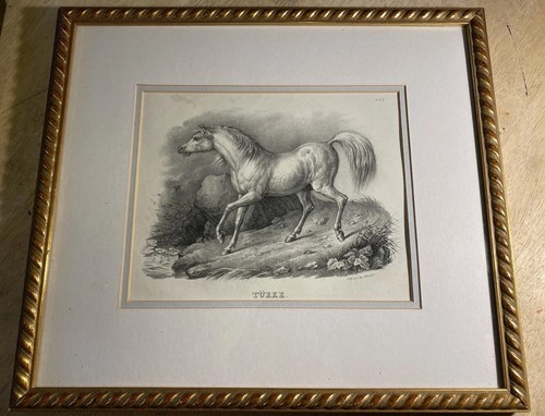 1824 antique lithograph - 1824,