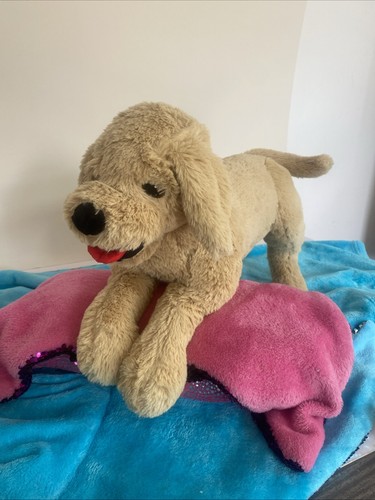 Golden labrador puppy - labrador, soft