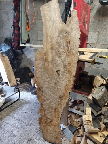 Beautiful elm burl slab - elm,