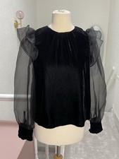 Zara Black Velvet Sheer Mesh