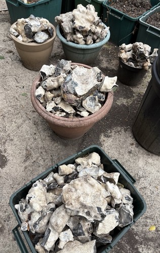 Job lot natural flint - job,