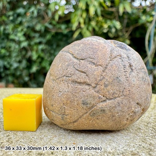 Exquisite fossil flint - exquisite,