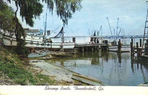 Shrimp boats docked - shrimp,