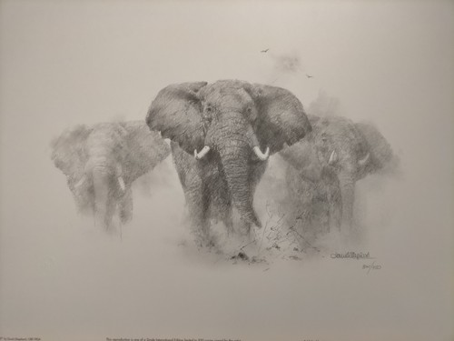 David shepherd elephant - david,