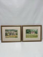 Sunflower Fields & Poppy