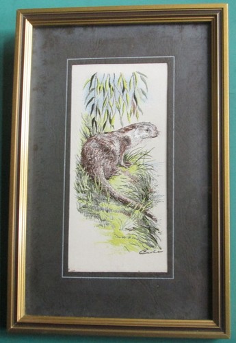 Cash woven otter - j, &