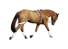 Pessoa horse training system - horse,