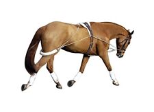 Pessoa Horse Training System