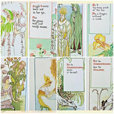 1899 Antique Art Nouveau Walter Crane Floral Fantasy Botanical  9 Prints + Cover