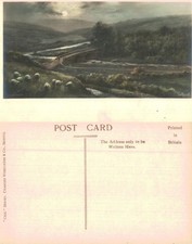 Vintage Postcard - Dartmeet