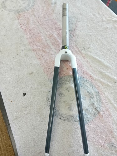 Giant defy carbon - defy, forks,