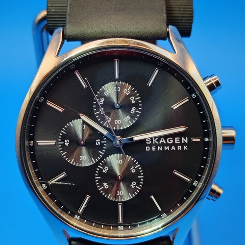 2019 skagen denmark - denmark, holst
