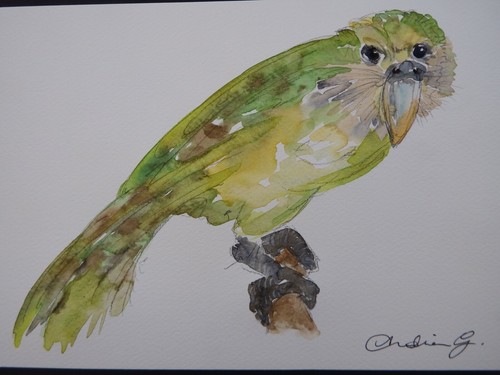 Original pencil watercolour - pencil,