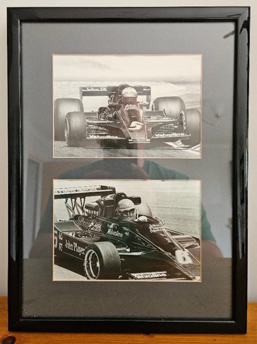 Ronnie peterson mario - peterson, /