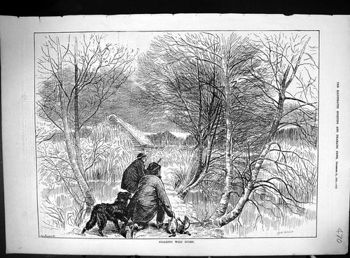 Antique print 1881 - print,
