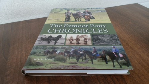 The exmoor pony chronicles - exmoor,