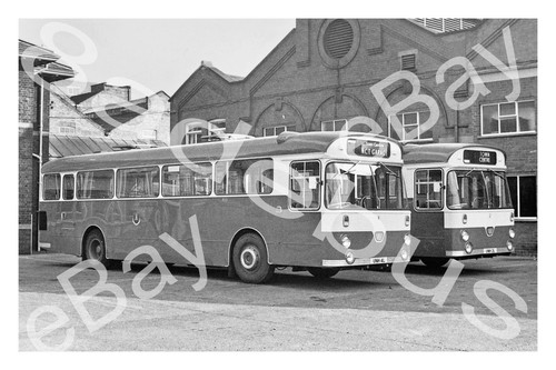 Bus photograph northampton - photograph, unh