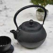 Large black kyusu cast iron - cast,