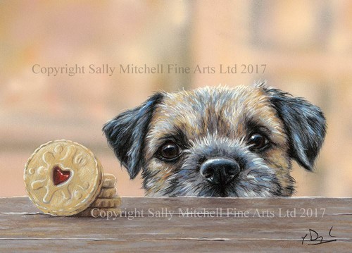 Border terrier dog blank - border,