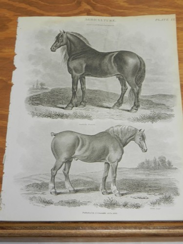 1824 antique print farm - 1824, print/farm