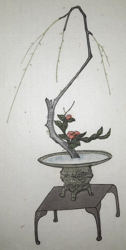 Ikebana willow print japanese - ikebana,