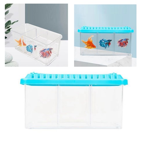 Acrylic fish tank - fish, detachable