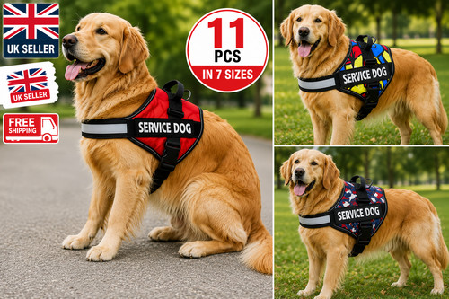 Service dog vest - service,