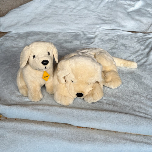 Andrex puppy nightie pj - andrex,