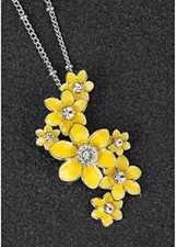 Equilibrium Radiant Daffodil