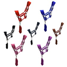 Horse Masters Best On Horse