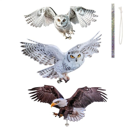 Owls scare birds away - birds,