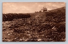 The Dome Houses and Shepherd's