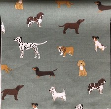 Sophie Allport Fetch Dogs