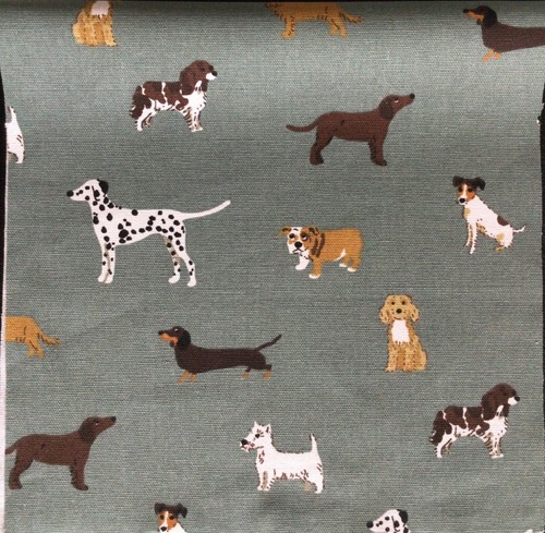 Sophie allport fetch - sophie,