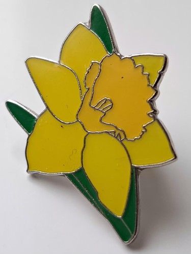 Rspb daffodil flower enamel - flower,