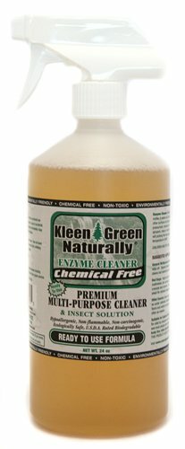 Kleen green 24oz ready - green, to