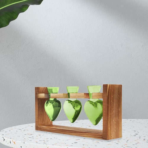 Hydroponic flower vase plant - hydroponic,