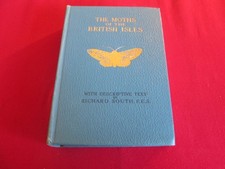 The Moths Of The British Isles