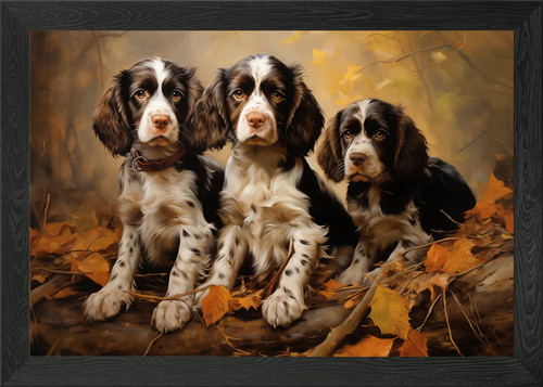 English springer spaniels - english,