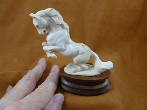 Wild horse rearing - (horse-11),