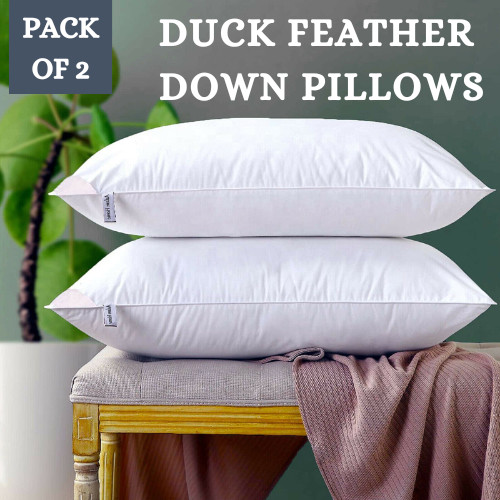 Duck feather down pillows - duck,