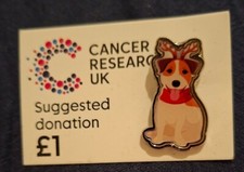 Charity Pin Badge Cancer